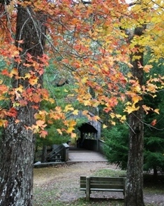 The covered bridge is great for a fall wedding in Devil's Hopyard.