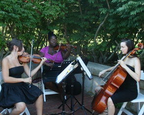 Divina Strings trio playing for a wedding at Harkness State Park. Visit their Site.
