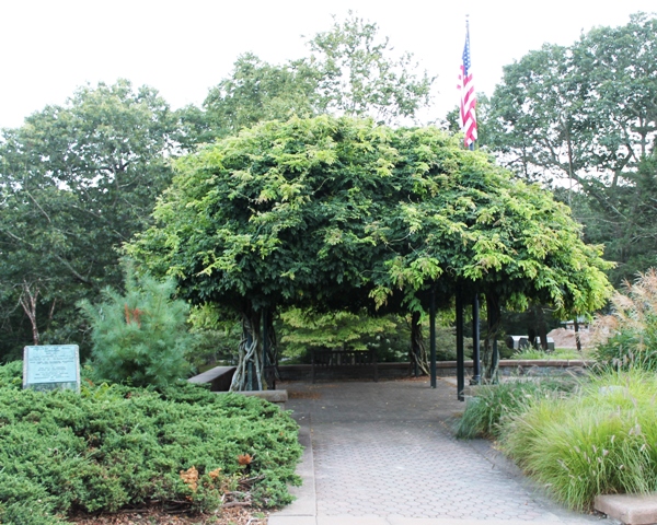The Mohegan Park pergola provides a cool wedding space for you and your guests.