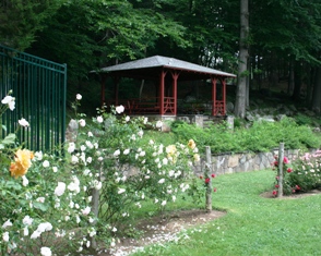 The gazebo in Mohegan Park Rose Garden overlooks the beautiful roses.