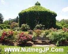 The gazebo in Elizabeth Park Rose Garden in Hartford, CT